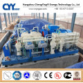 CNG21 Skid-Mounted Lcng CNG LNG Combination Station Filling